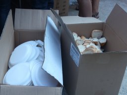 XVII Concentracion - 2010